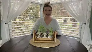 Review of Ivolador Desktop Glass Plants Bulb Terrarium with Retro Solid Wooden Stand and Metal
