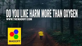 Forest Fires: Wildfires pose a potential threat to climate worldwide | The Madoff (HD)