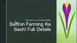 Complete Guide to Indoor Saffron Farming | Handpicked Saffron Channel Intro