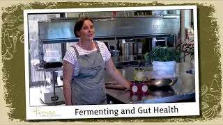 Fermenting and Gut Health Workshop