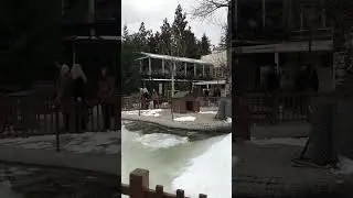 Kuğulu park#Ankara#