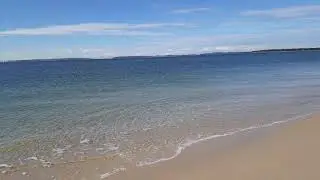 Physical processes on coastal dunes
