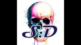 S:D KvK Party