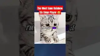 Rainbow Six Siege Player Has Mental Breakdown #shorts #gaming #rainbowsixsiege #r6s #r6 #memes #cat