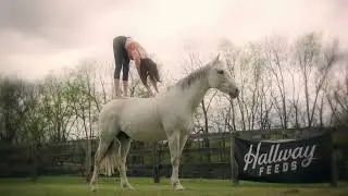 Horse Yoga Retreat by Hallway Feeds - Lexington, Kentucky