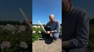 Plant Marking and Identifying Hack