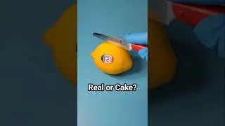 Настоящее или торт?