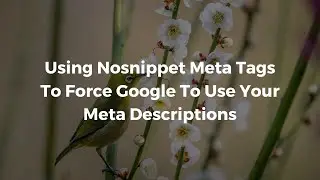 How to Optimize Your Meta Descriptions With The Nosnippet Tag