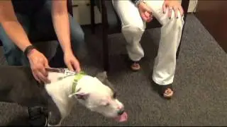 WMTR's Rock N Ruff with Nanette