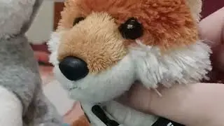 when foxes scream.