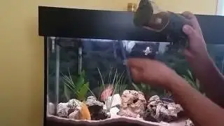Como funciona alimentador automático para peixes. Para poder ausentar-se tranquilo