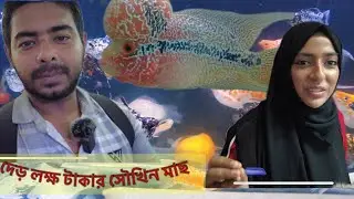 Aquarium Fish Fair | Aquarium Fair | Terrarium | #shawonview
