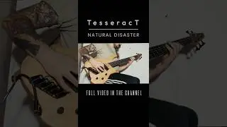 TesseracT - Natural Disaster / bass cover #tesseract #naturaldisaster #bass #cover #dingwall #metal