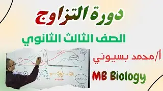 دورة التزاوج #احياء الصف الثالث الثانوي