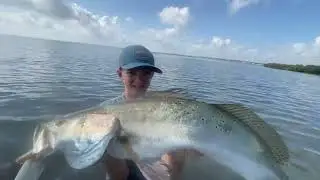 Gator Trout on the Kwiggler Ball Tail &ldquo;Sand Bart Ninja&rdquo; on my Shimano Stradic #fishshimano 