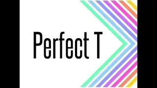 LuLaRoe try on video - the Perfect T