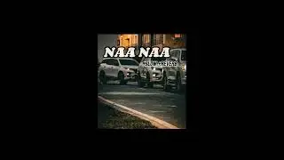 NAA NAA HIT HUNRI SONG#punjabisong #viralsong #vellafanu