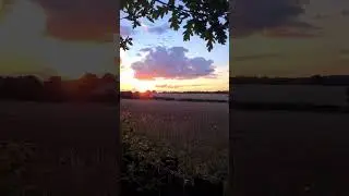 30 Seconds A Shift Day 9 #shorts #amazon #hgvdriver #tramper #sunset #lorry
