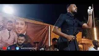 دهب الشبيكة - محمد الطيب ودو || الحفل الجماهيري || 2022 توزيع جديد