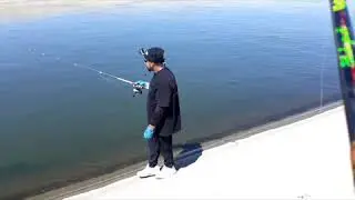 Smackin Striper with Poor man aqueduct fishing on the California aqueduct #Striper #fishing