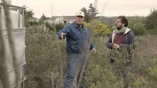 Miel de Algarrobo: La dulzura del trabajo apícola