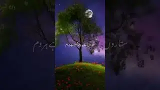 Heart touching naat status 2023 | new nazam status 2023 | WhatsApp status | Islamic naat status(1)