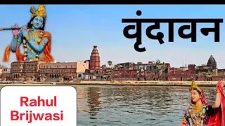 Divine Evening 🙏 Monkey 🐒 Seva in Vrindavan Dham 🙏@Rahulbrijwasii