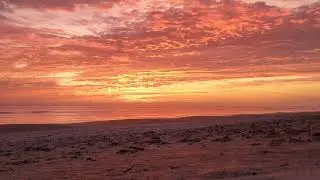 Beautiful Colors before Sunrise December 10 2024 😍🫶💖 #goodmorning #8k #sunrise