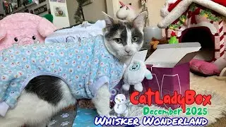Распаковка CatLadyBox | Страна чудес с усами | Декабрь 2025