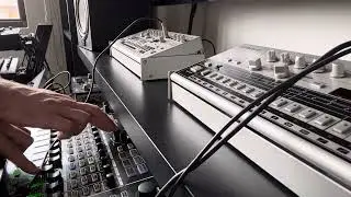 Tb-03 // TR-06 // MX-1 // Kaoss Pad