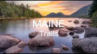 Top 5 Dog Friendly Hiking Trails in Maine