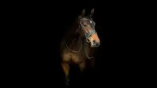 Open your eyes//barrel racing music video