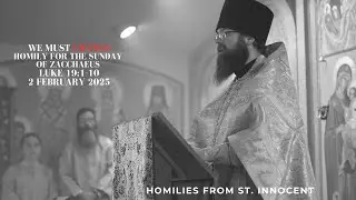 Homily for Zacchaeus Sunday - 2025