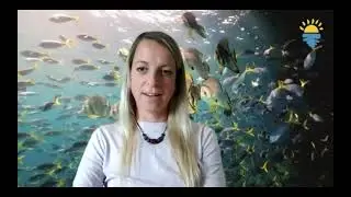 Sch&ouml;ner Tauchen - Reiserecht und Reiseversicherungen