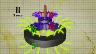 VIDEO Lievitazione magnetica CAMPO MAGNETICO TE LO AVEVO DETTO