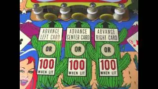 My new pinball - 1966 