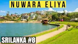 Nuwara Eliya City (Little England ) | Gregory Lake Explore | Travel Srilanka