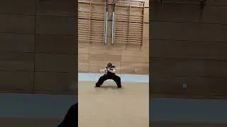 gunshu basics #wushu #wushutaolu #gunshu