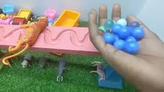 Epic Marble Run 🌈 ASMR HABA Slope & Dump Truck Race Mania!
