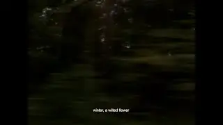 Lecx Stacy - Winter, A Wilted Flower (lyric video)