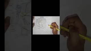 (Revision) of Class 11th biology chapter 15 body fluid and circulation. Structure of heart.