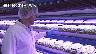 B.C. farmers push for changes to food-processing rules amid 'buy B.C.' push
