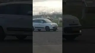 04.03.2023 Голландия, Мейден. пригород Амстердама.