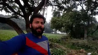 Light Kabb ayegi yrr | Day 84