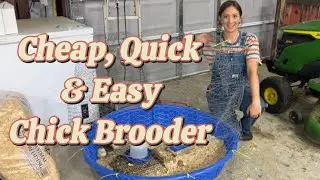 Cheap, Fast and Easy Chicken Brooder - Setup in 10 Minutes for $30 or Less!