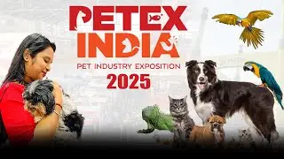 PETEX INDIA 2025 | India's Premier Exhibition on Pet Care Industry | IIPTF  India's Biggest Pet Show