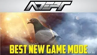 Battle for the War Pigeons - Battlefield 1
