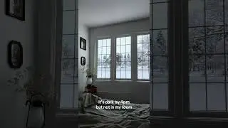 Transform Any Room with Stunning 4K Window Projections &ndash; Cozy & Realistic Scenes