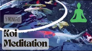 🪷 Relaxing Koi Pond Sounds | Peaceful Waterfall & Feeding Time | Zen Nature Ambience 4K