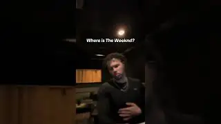 THE WEEKND BEAT PACKS #beats #theweekend